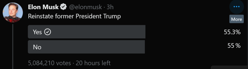 Results of Elon Musk Trump Poll November 18th 2022